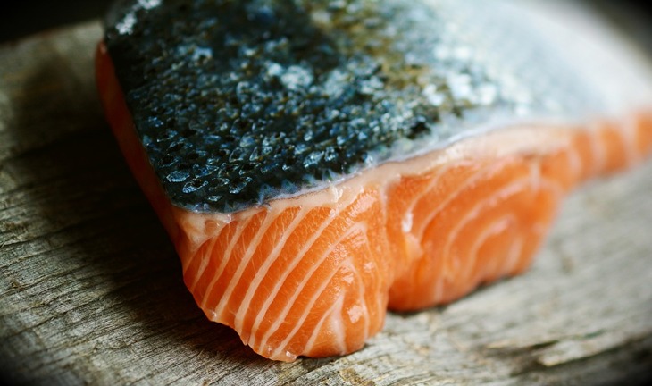 salmon