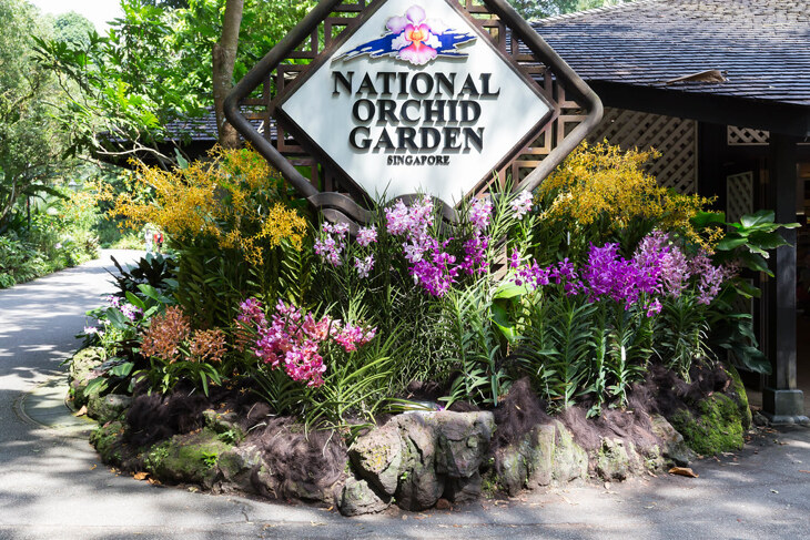 National Orchid Garden