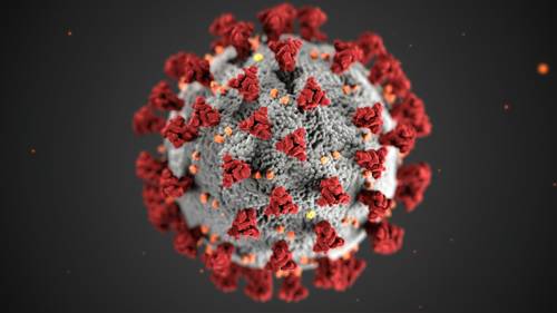Magyarországon novemberben jelent meg az új koronavírus-variáns, januárra már le is nyomta a többit