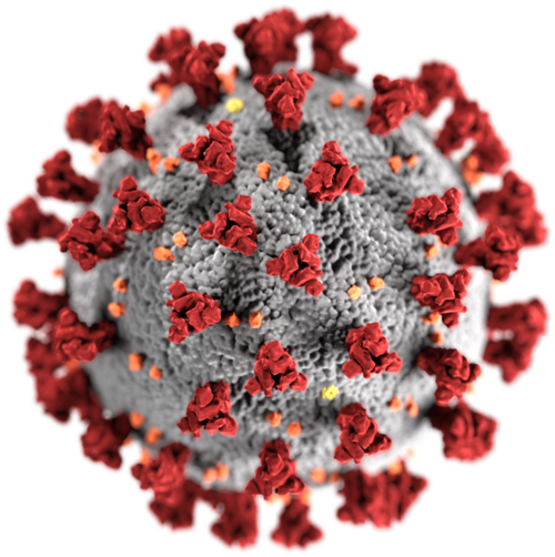 Mit kell tudni a SARS-CoV-2 vírusról?