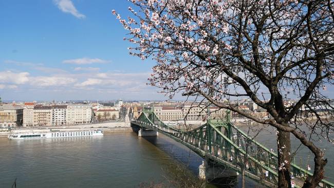 A Duna köré épülő programok egész nyáron várják az érdeklődőket