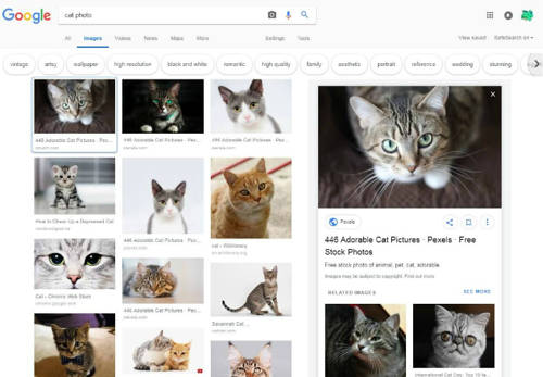 The new interface of the Google Images
