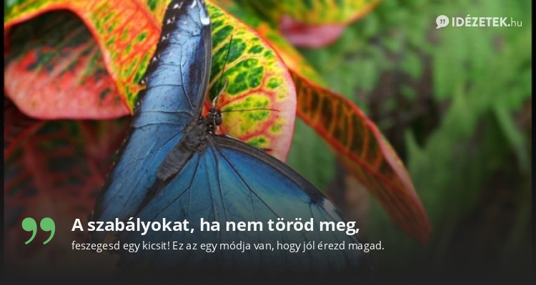 A szabályokat, ha nem töröd meg,