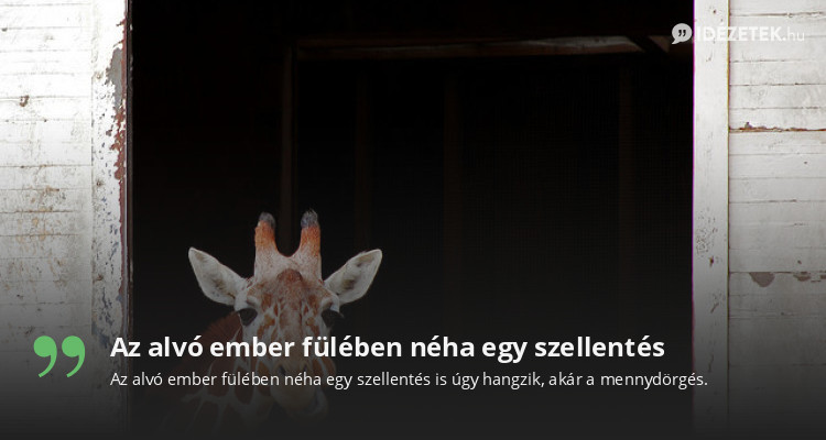 Az alvó ember fülében néha egy szellentés