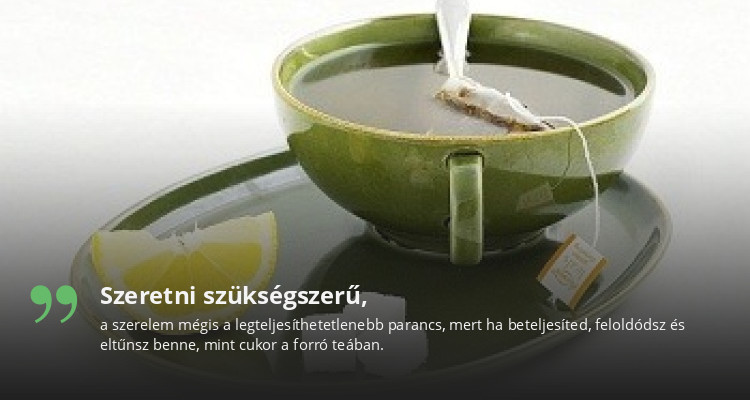 Szeretni szükségszerű,