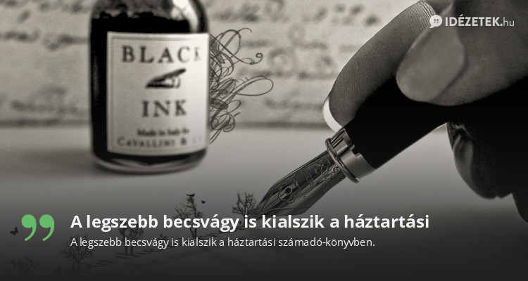 A legszebb becsvágy is kialszik a háztartási