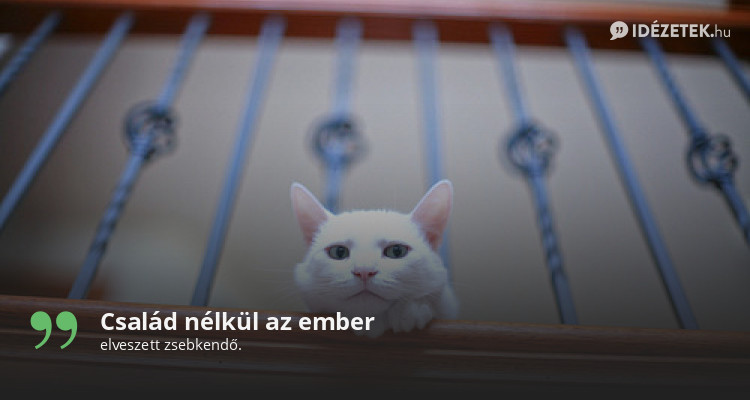 Család nélkül az ember