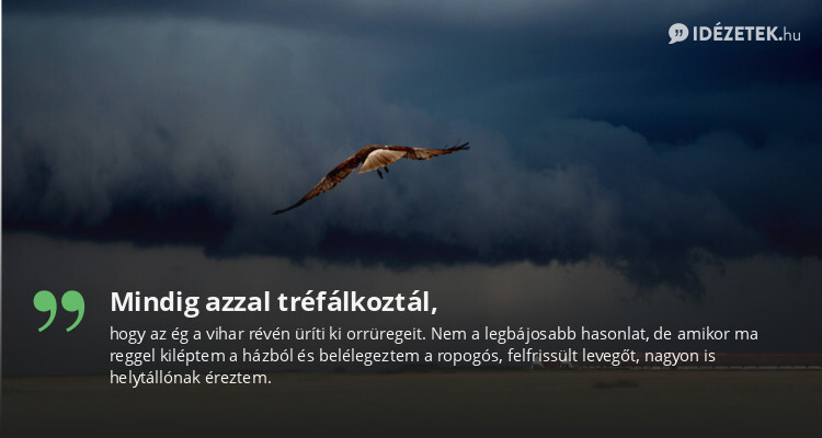 Mindig azzal tréfálkoztál,