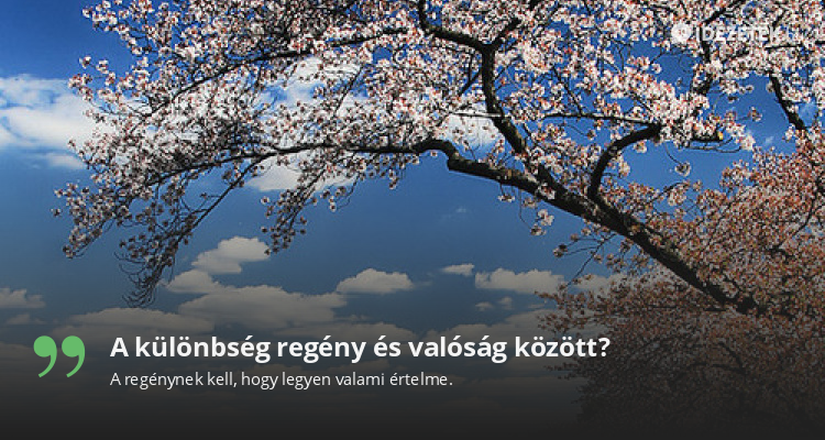 A különbség regény és valóság között?