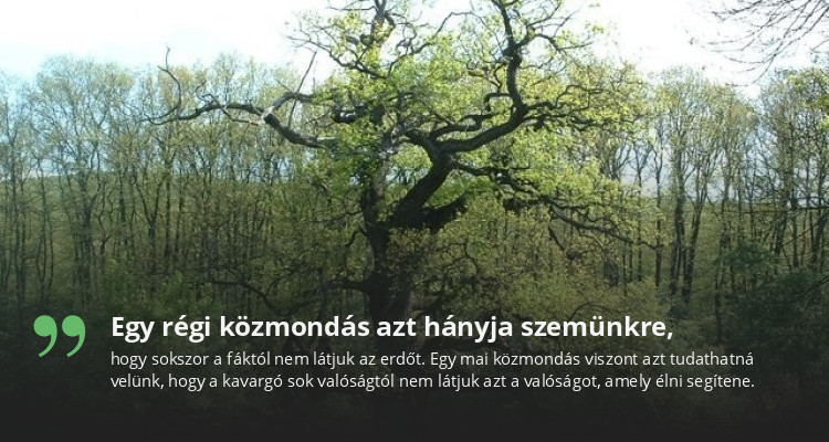 Egy régi közmondás azt hányja szemünkre,