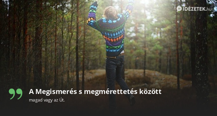 A Megismerés s megmérettetés között