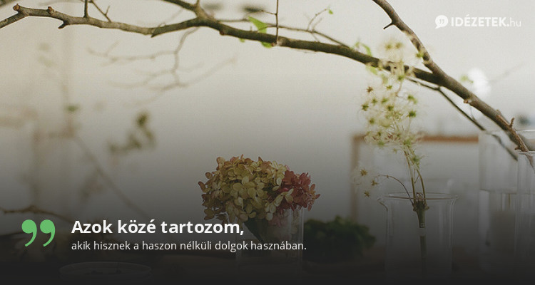 Azok közé tartozom,