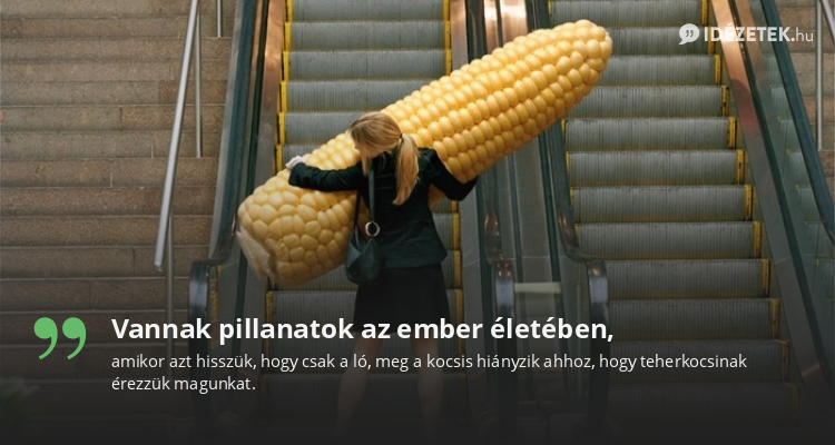 Vannak pillanatok az ember életében,