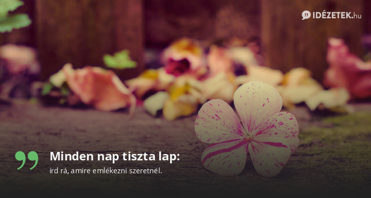 Minden nap tiszta lap: