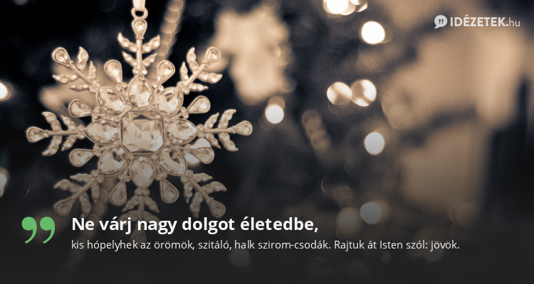 Ne várj nagy dolgot életedbe,