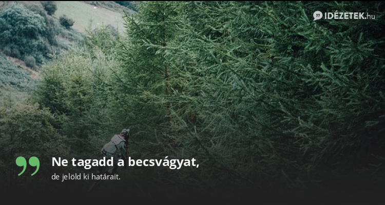 Ne tagadd a becsvágyat,