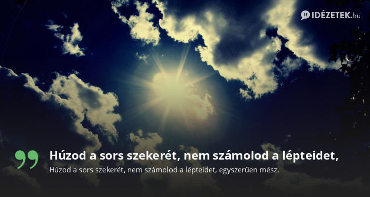 Húzod a sors szekerét, nem számolod a lépteidet,