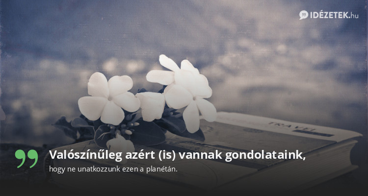 Valószínűleg azért (is) vannak gondolataink,