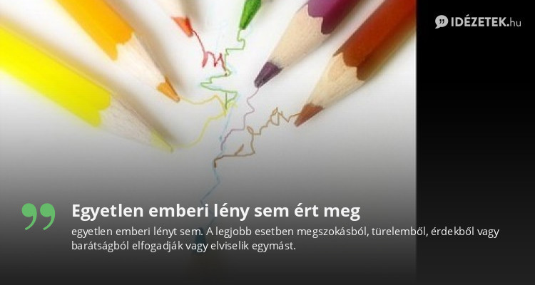 Egyetlen emberi lény sem ért meg