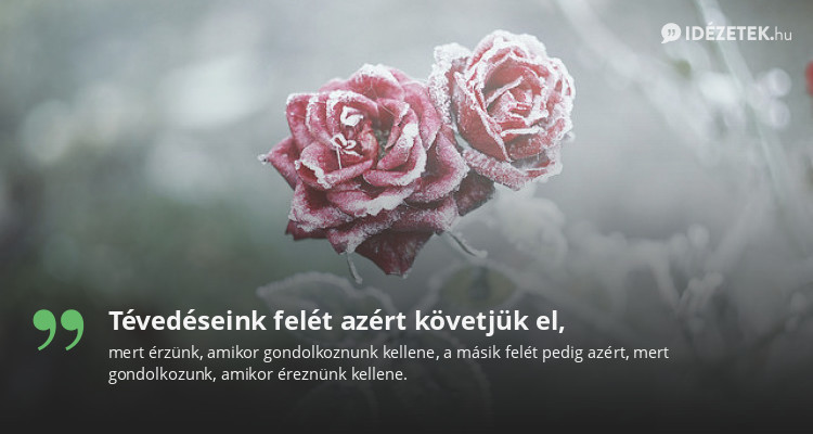 Tévedéseink felét azért követjük el,