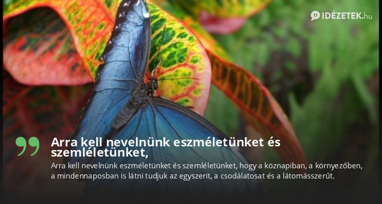 Arra kell nevelnünk eszméletünket és szemléletünket,