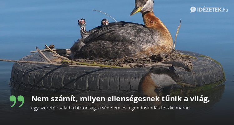 Nem számít, milyen ellenségesnek tűnik a világ,